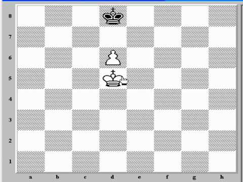 chess computer