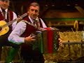 Stoakogler Trio - A lustiges Liadl (1989)