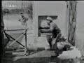 Nikopolidis