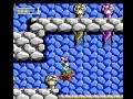 www.longplays.org played by lemmy556 nice platformer to nes. i was planning to play gameboy version of this, but decided to play nes version, because i was trying to avoid desync and nes version have better graphics. i liked music and controlling more in gameboy port.