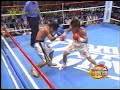 Box in Japan 2006-2007