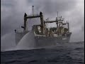 Walvisacties Greenpeace: Jetske blikt terug Walvisacties Greenpeace: Jetske blikt terug