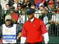 Tiger Woods - Chip Shot