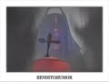 Videoclip 