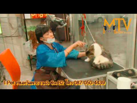 Meaw TV ตอนที่1 อาบน้ำน้องเหมียว Part1/2