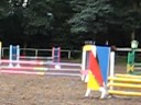 concurso en belgica verano del 2008