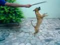 Tico (Ex-menino de rua)