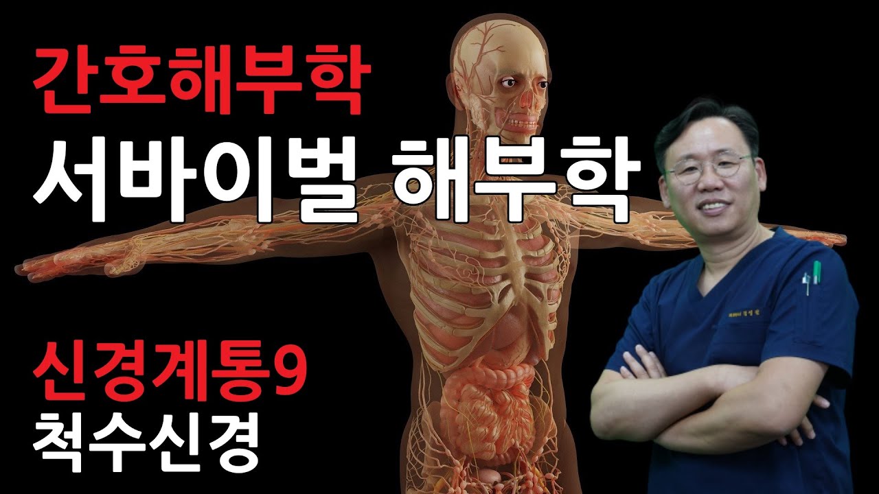 [서바이벌해부학] 간호해부학-신경계통9