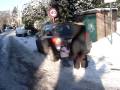 pour montrer la neige à boulette!