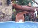 Si graize oh nagsplash....