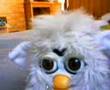 ファービー～furby～