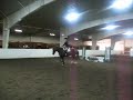 Woodland's Mack Jumping Flowers 2