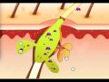 Bekijk video
