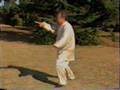 Wei ShuRen：Complete Yang Style Taji - LaoLiuLu 3 of 6