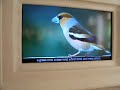 Creation Museum - 
