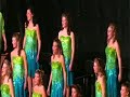 Wheaton Warrenville 2008 - \"Anyway / Eye On The Sparrow\"