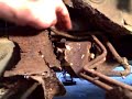 Cross Member in Unibody Frame
