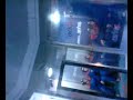 Indoor Skydiving Instructor Indoor Skydiving Instructor