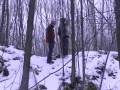 Forêt VSLL