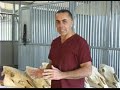 Equine Dentistry Made Easy to Understand part 4 Equine Dentistry Made Easy to Understand part 4
