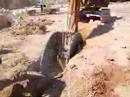 Stratti Rocksaw Trench Cutting.. April 2008....CASE CX330 Stratti Rocksaw Trench Cutting.. April 2008....CASE CX330