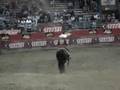 Ezequiel Pena Feria del Caballo Espanol