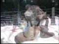 Minotauro Vs Sapp