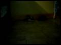 Ger-Baila-Electro
