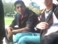 Chanchito jugueton !