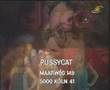 Pussycat - My Broken Souvenirs