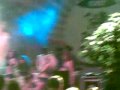 Exit 2009 - Reggae Stage, Igracice 2