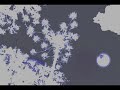 Espiral Rock con Raices - Cofqueco