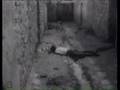 Fransız vahşeti (Algerian genocide)