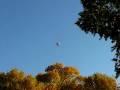 videos de Hot Air Balloon