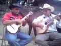 Bandola llanera