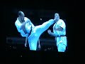 karate kyokushin 2007 world championship