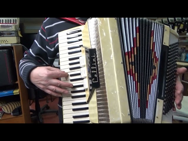 Cellini piano accordion 120 bass mod. L 876/4 in Pianos & Keyboards in Stratford