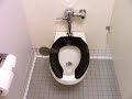 The Ultimate Flush
