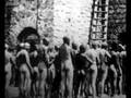 auschwitz