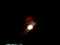 Dumaguete, Philippines, 2008 Firework. #2