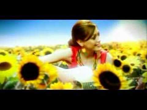 Kovácsovics Fruzsina - Hazatalálsz