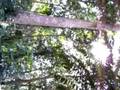 videos de mondika camp 2