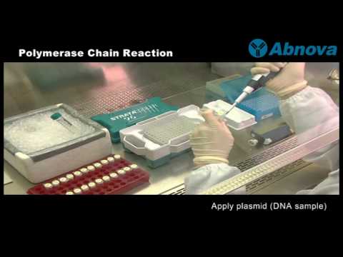 chain reaction