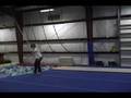 videos de illussion gyro round