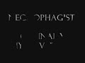  Necrophagist Culinary Hyperversity Onset of Putrefacation Muhammed Suicmez Technical Death Metal