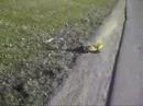 RC car