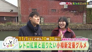 いっとこ!みんテレ