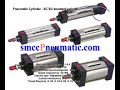 Pneumatic Valves - Pneumatic Cylinders