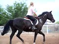 DJS FLASHIN FELLA 1994 APHA gelding for sale DJS FLASHIN FELLA 1994 APHA gelding for sale