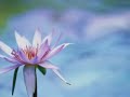 Vajra Guru Mantra - Secret Mantra